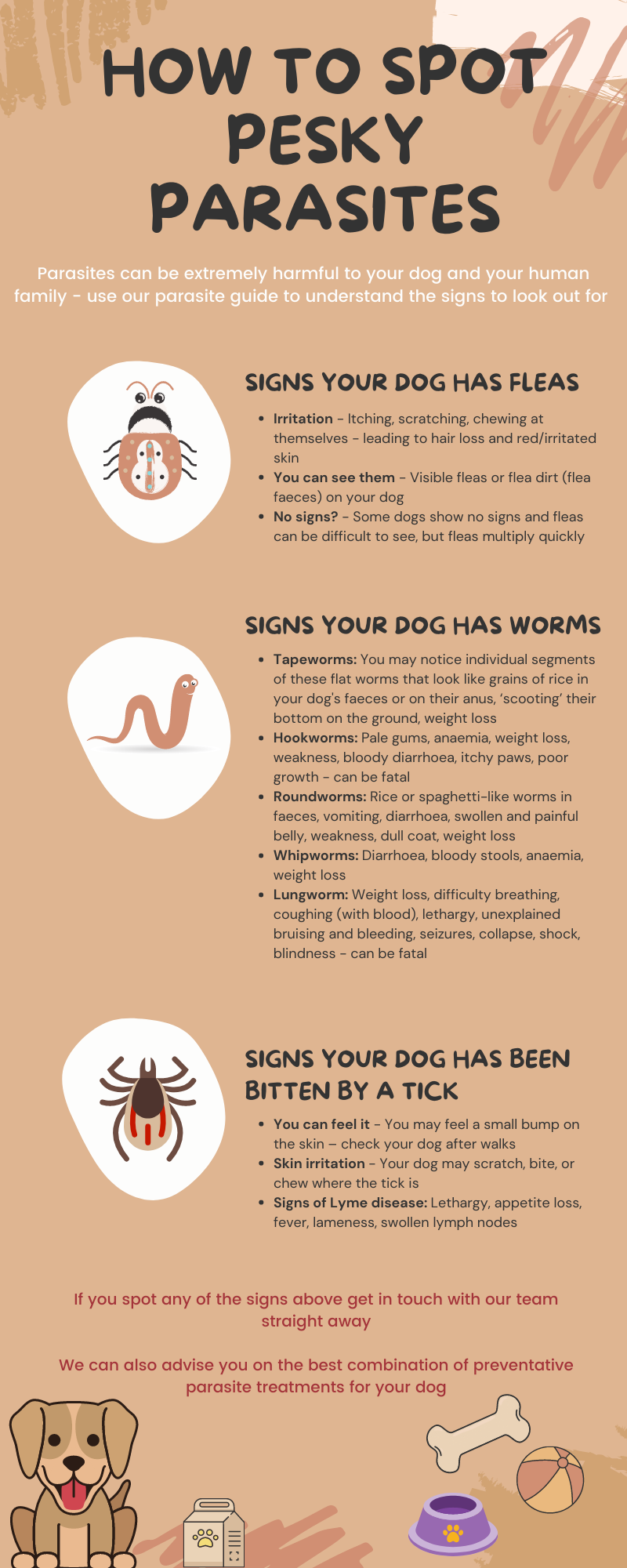 How Do I Know If My Dog Has Parasites? Find Out Now!