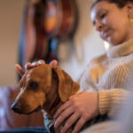 Caroline shares 7 checks you should do on your dog at home and why