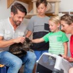 Valuable advice for cat adoption in 2024 from STAR Vets