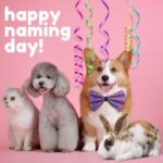 Appleby Magna Vet Nurses Share Ideas for the Perfect Pet Name