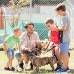 What to Consider When Choosing a New Pet