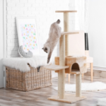 A World of Entertainment for Your Cat at Home